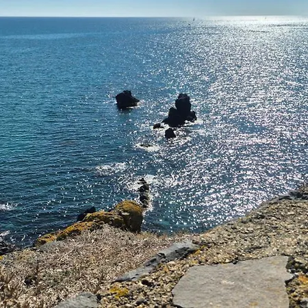 Sopraland 514, T2 Renove Avec Piscine Pour 4 Personnes Lejlighed Agde